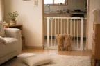 ベビーゲートはいつまで？うちの双子は2歳まで【突っ張り式】